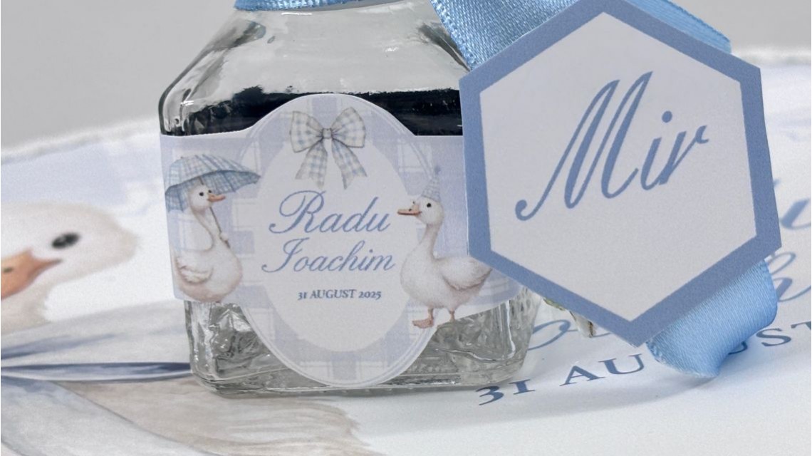 Trusou de botez cu rățuște Silly Goose 35